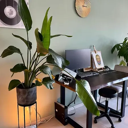 Penthouse-apartment Am Schloss Appartamento